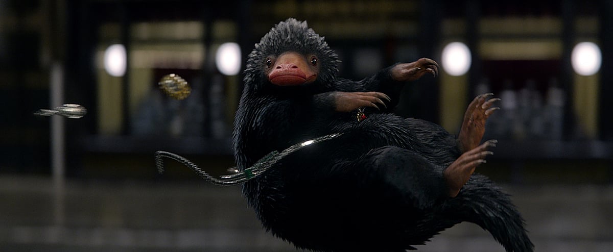 A niffler caught mid-action 