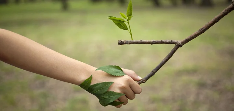 Many forest warriors have made it their mission to protect the green cover of India. - Shutterstock