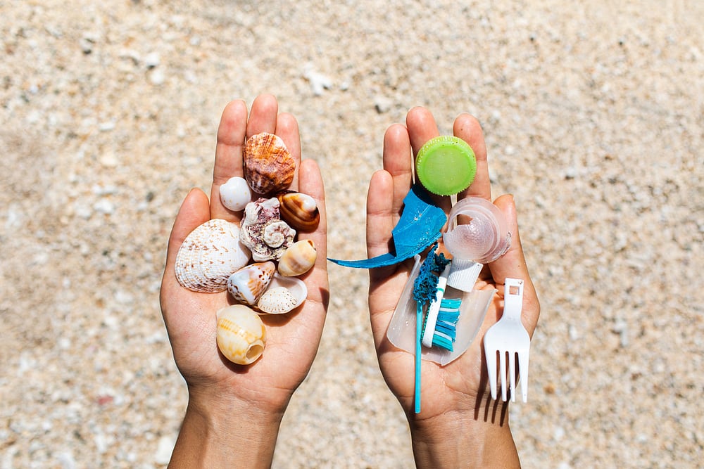 Beaches across the world are awash with plastics which endanger marine life                                           Shutterstock