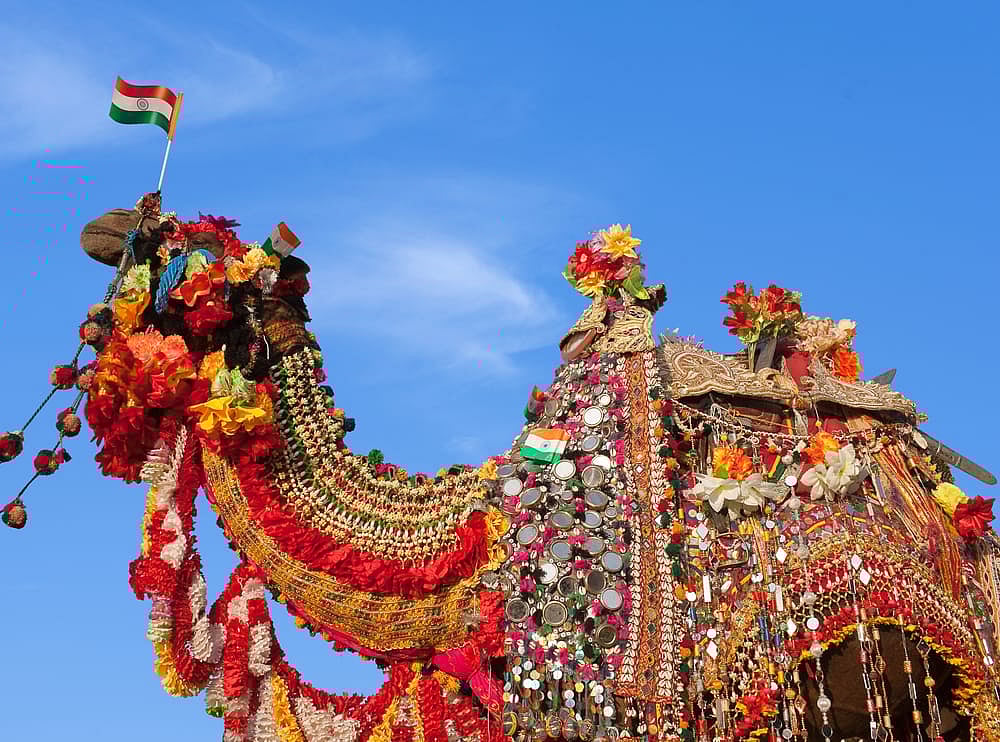 An intricately adorned camel at the Bikaner Camel Festival. Credit www.shutterstock.com / Storm Is Me 