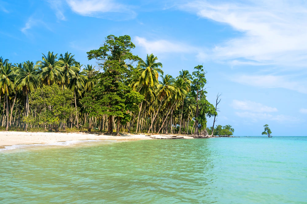 Coconut palm fringed beach in A&N   Photo Shutterstock.com