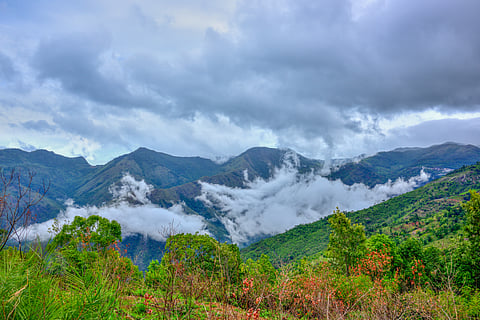 Monsoon brings Kotagiri to life