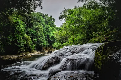 Ziro Valley, Arunachal Pradesh. Photo Credit Shutterstock