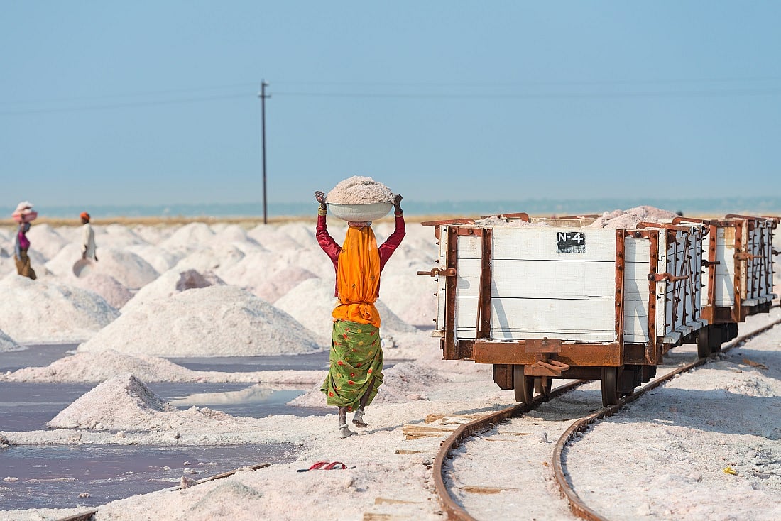 Workers collect salt in salt farm in Sambhar Salt Lake