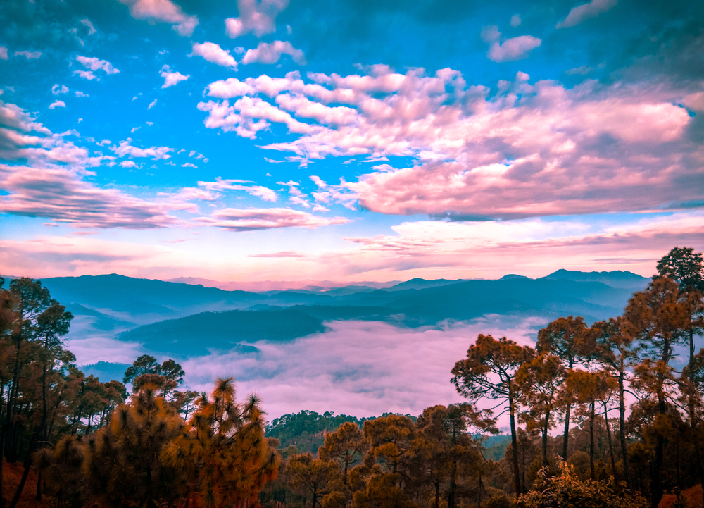 The natural beauty of the Ranikhet highlands