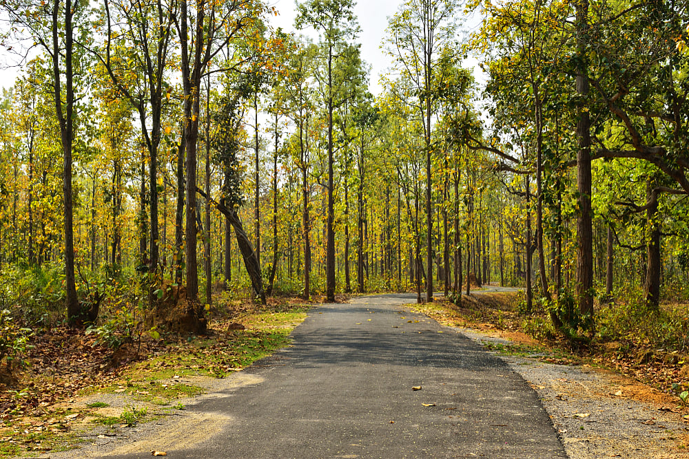 Country road, Jhargram   Photo Shutterstock