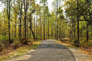 Country road, Jhargram Photo Shutterstock