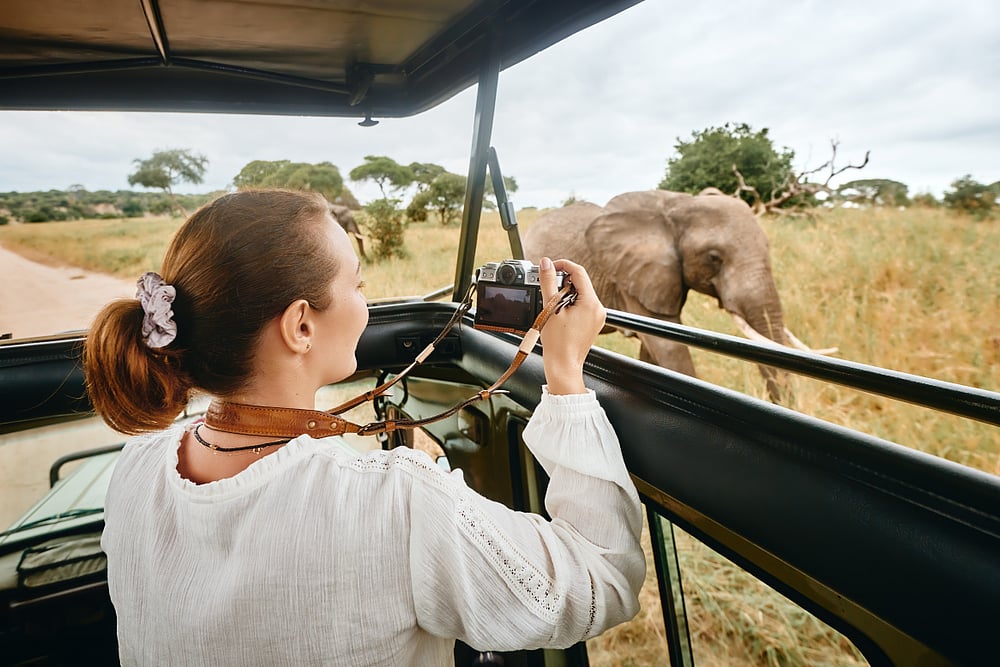The African jungle safari is popular across the world