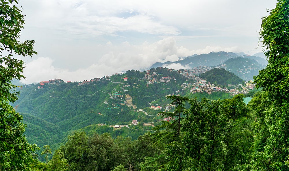 In Mussoorie, you can shop at a variety of places 