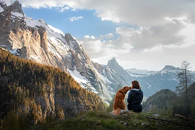 Stay With Your Furry-Friends
