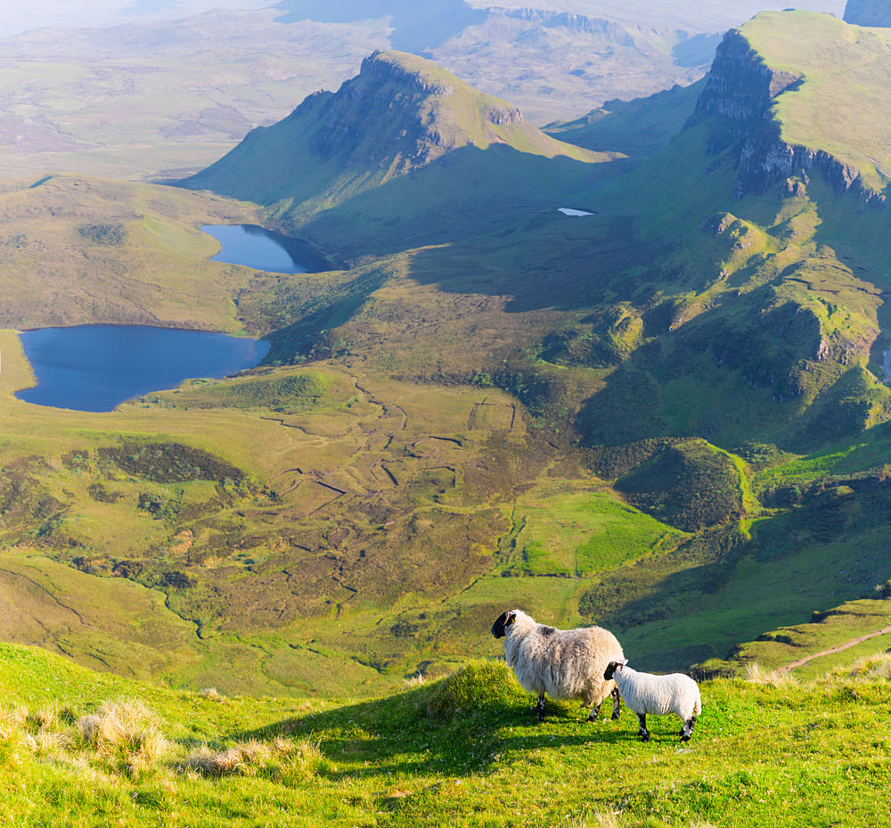 Shutterstock : Isle of Skye in summer