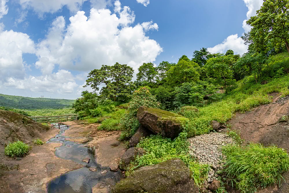 Sanjay Gandhi National Park, Mumbai. Photo Credit Shutterstock