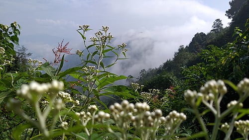 The misty hills of Dawaipani. Photo credit Shutterstock.com