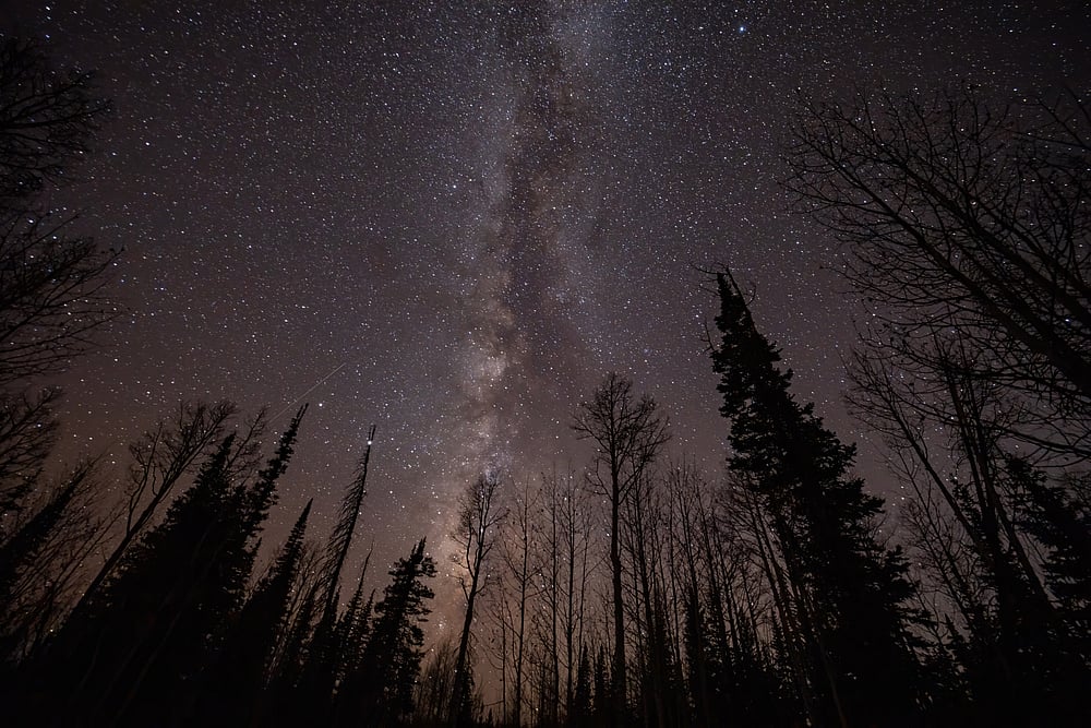 Night view of a dreamy milky way and forest near Cedar Breaks National Monument in Utah