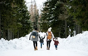 Back your bags to experience the winter chill