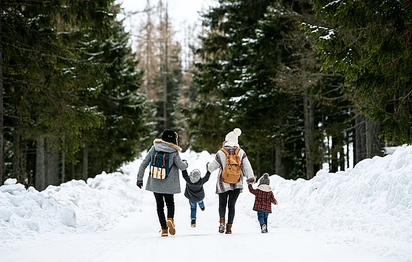Back your bags to experience the winter chill