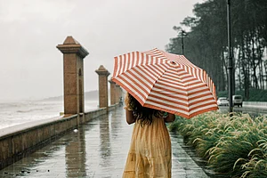 Unsplash : This monsoon, let forests, waterfalls and slow mornings become the highlight of your familys next holiday