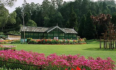 Botanical Gardens, Ooty. Photo credits Shutterstock