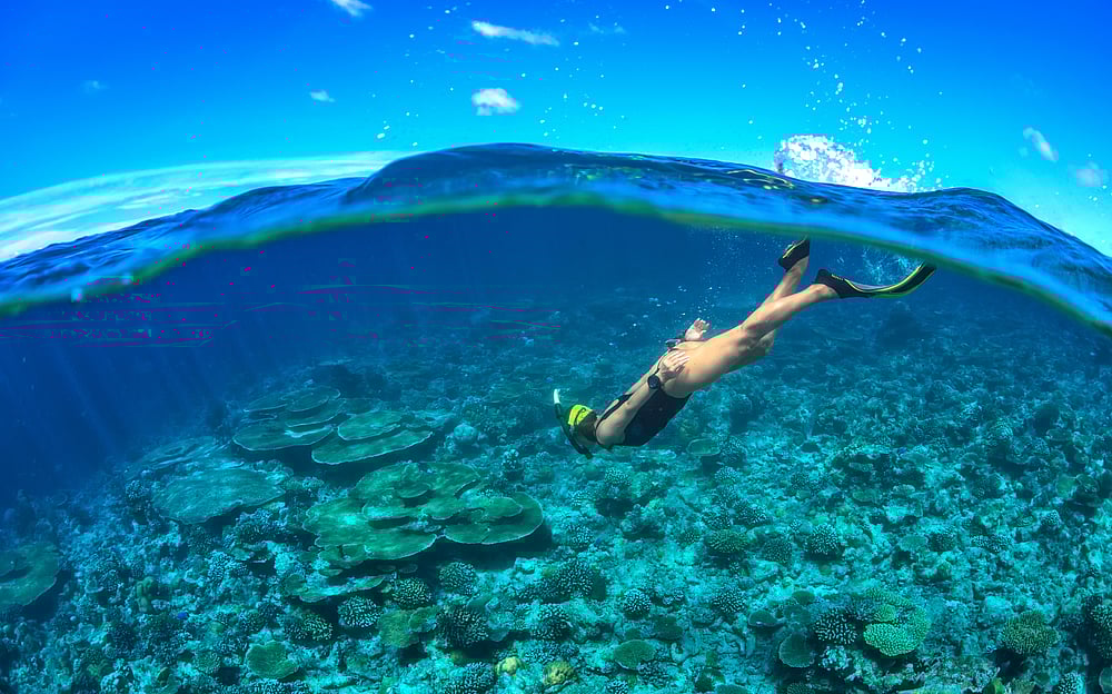 5 Destinations To Experience Snorkelling In India