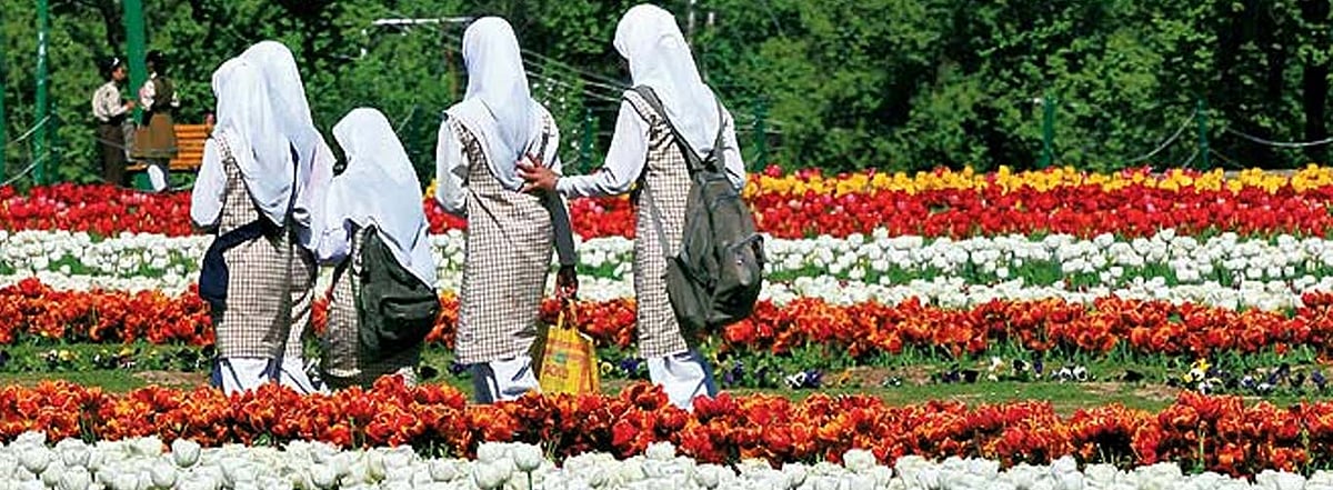 Springtime in Kashmir