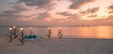 Representative image, Photo Credit Shutterstock