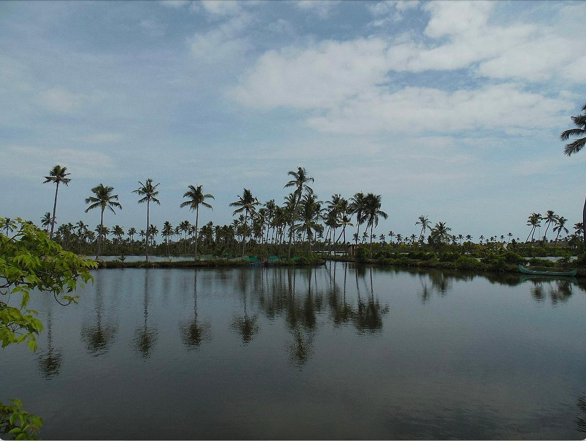 Wikimedia Commons : In Keralas Kumbalangi Village, Sustainability Is A Way Of Life