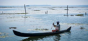 There has been a sharp decline in the fish wealth in the lake, which has multiplied the problems of fishermen