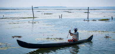 There has been a sharp decline in the fish wealth in the lake, which has multiplied the problems of fishermen
