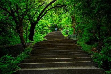 Walk along lush green nature trails