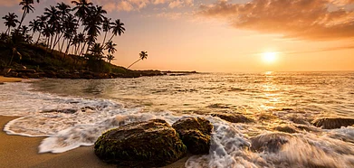 Shutterstock : Sri Lanka is a small but charming nation with a wide range of cultures.