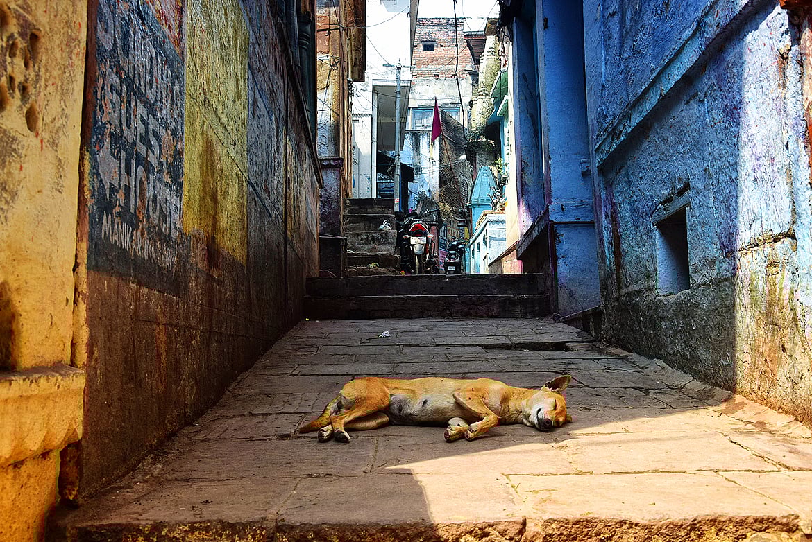 Uttar Pradesh Another Side of Benaras