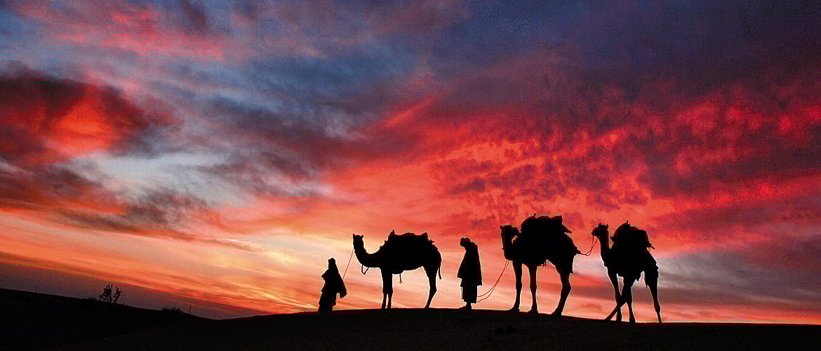 Picture Post Readers Photos