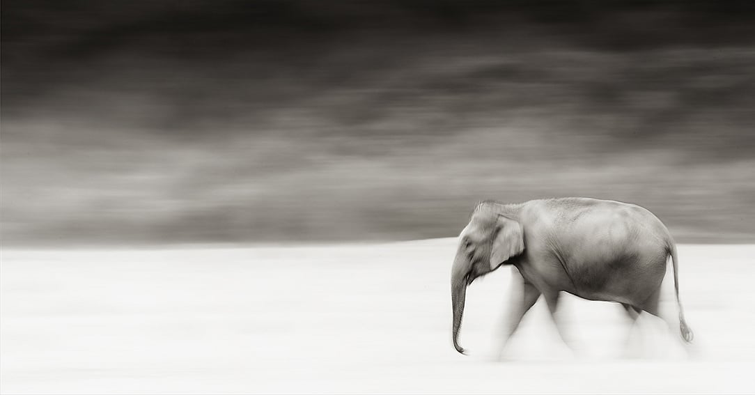 Lens Art by Ganesh H. Shankar