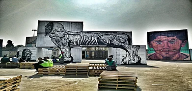 The streets are our canvas