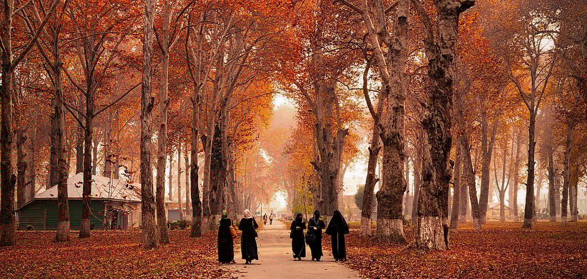 Srinagar is spectacular during autumn