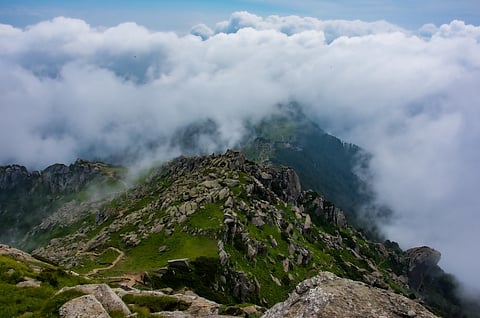 A view of the Churdhar Wildlife Sanctuary environs