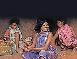 A Forest Festival Celebrates Adivasi Foods
