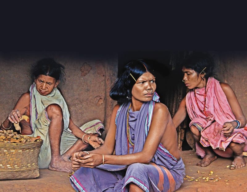 A Forest Festival Celebrates Adivasi Foods