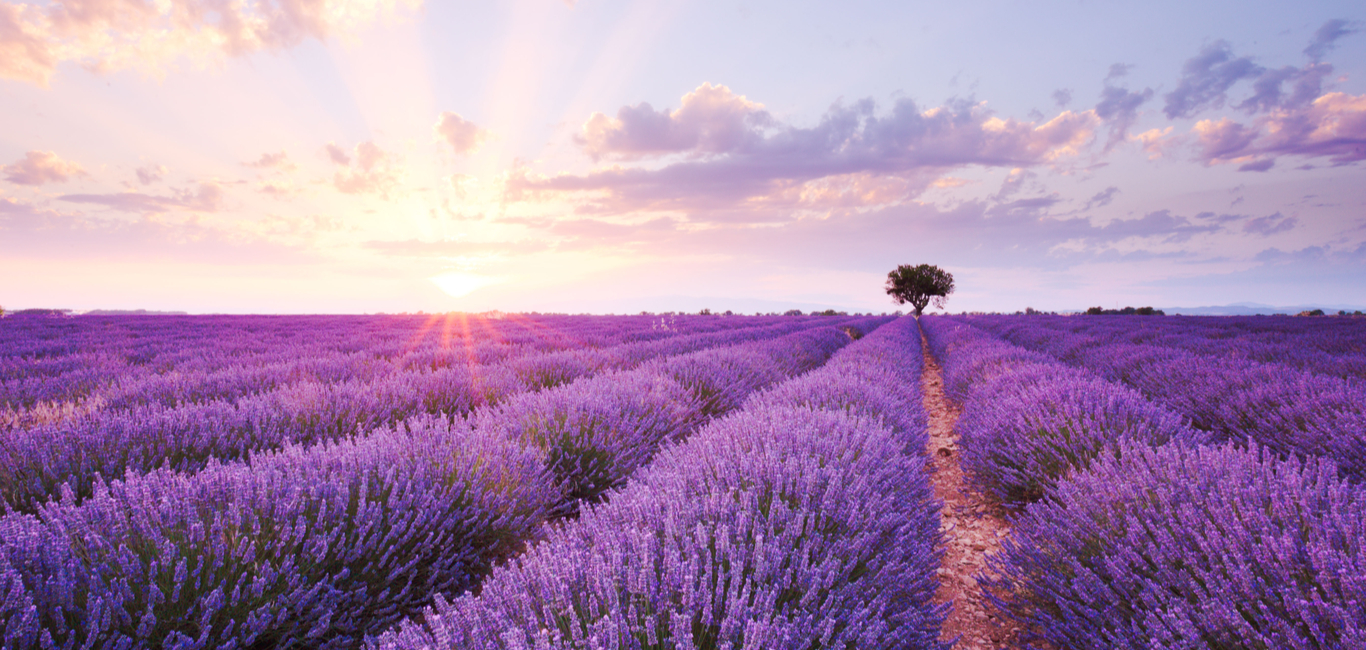 8 Stunning Destinations Where You Can Find Pantone Colour of the Year, Very Peri