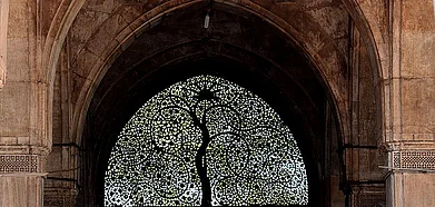 Sidi Saiyyed Jalli, also known as the Tree of Life Jali is a popular landmark and the citys symbol