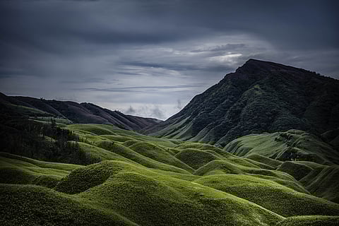 The Dzukou Valley in Nagaland