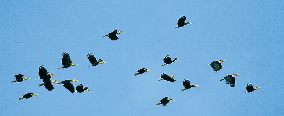 Arunachal Pradesh The Road Less Travelled