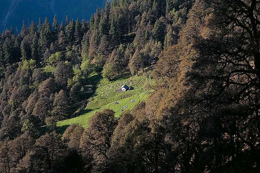 Nara Thach campsite seen through thick woods along the climb to Kobri Thach in the Tirthan river valley