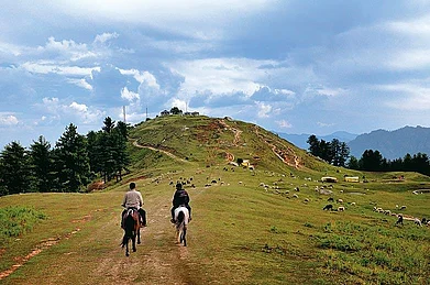 A Gaddi shepherd leads his sheep to the meadow near the Bijli Mahadev temple. The entire stretch from Tondla to Matikocchar is Gaddi territory, with the shepherds setting up camp with their sheep at almost every meadow along the way. A preferred location
