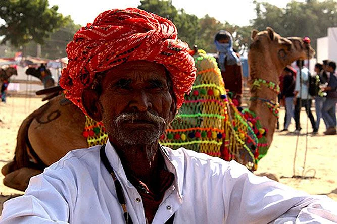 The Pushkar Fair in Rajasthan is serious business for those in cattle and camel trade as people from far off places converge to get the best deals.