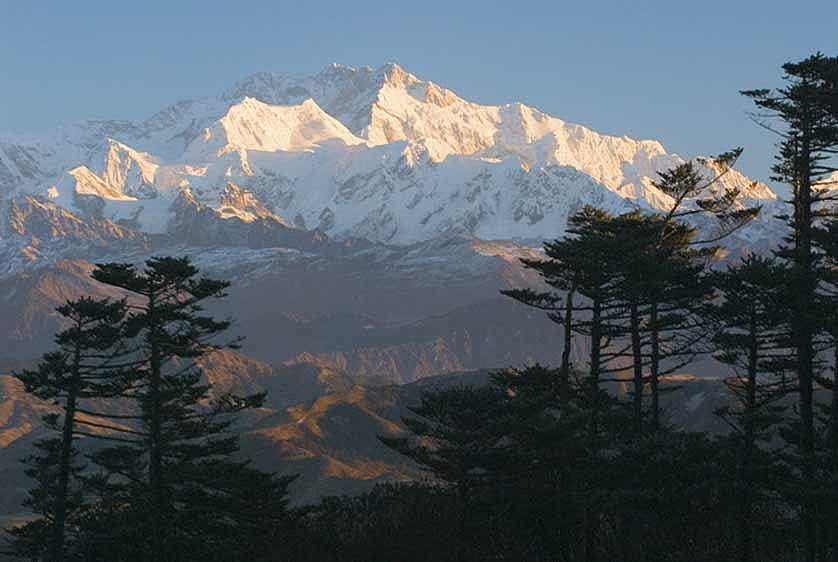 Himalayan forests - Singalila National Park in West Bengal consists of diverse mountain ranges with their typical vegetation - from temperate coniferous to temperate broadleaf and subtropical coniferous. Thick bamboo, oak, magnolia and rhododendron forest