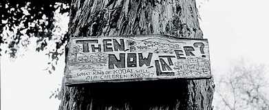 A sign posted at a school in Kodaikanal