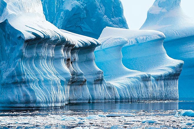 The Iceberg Alley--the blue tint is a result of natural light bouncing off old ice