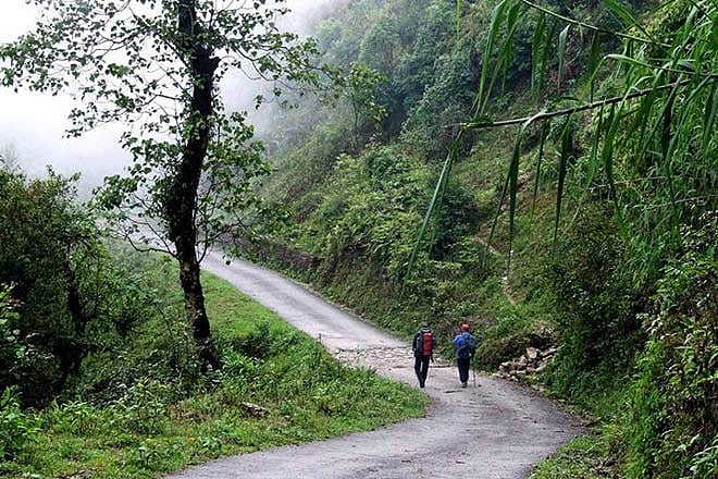 Senchal Wildlife Sanctuary near Darjeeling