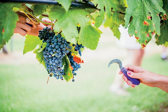 Its raining Michelin stars